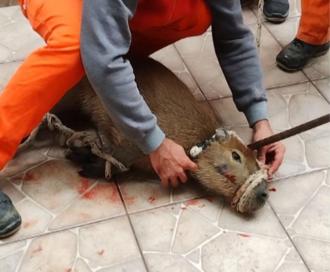 WhatsApp-Image-2023-04-25-at-11.38.35